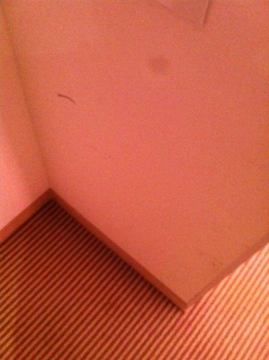 Wandbeschmutzung acom Hotel München