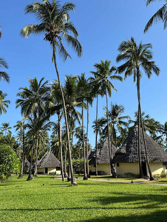 Gartenanlage Ocean Paradise Resort & Spa