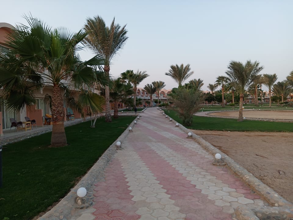 Gartenanlage Three Corners Sea Beach Resort