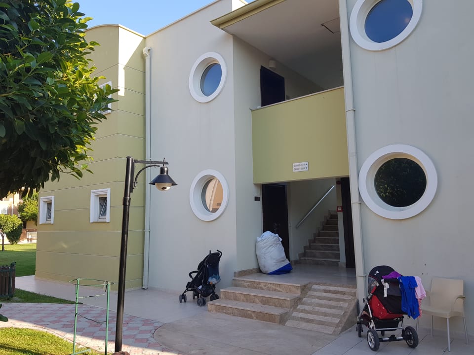 Zimmer Kamelya Aishen Club