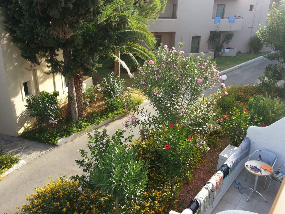 Widok z pokoju Sirios Village Hotel & Bungalows