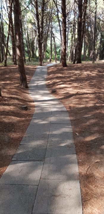 Sonstiges Hotel Le Palme