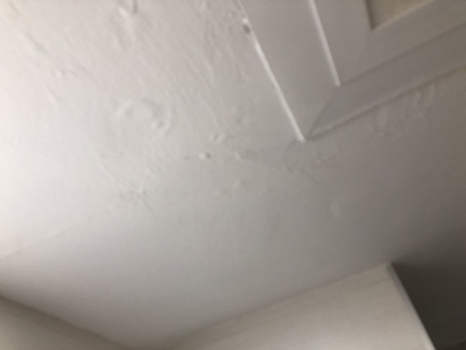 Zimmer Alcudia Garden Aparthotel