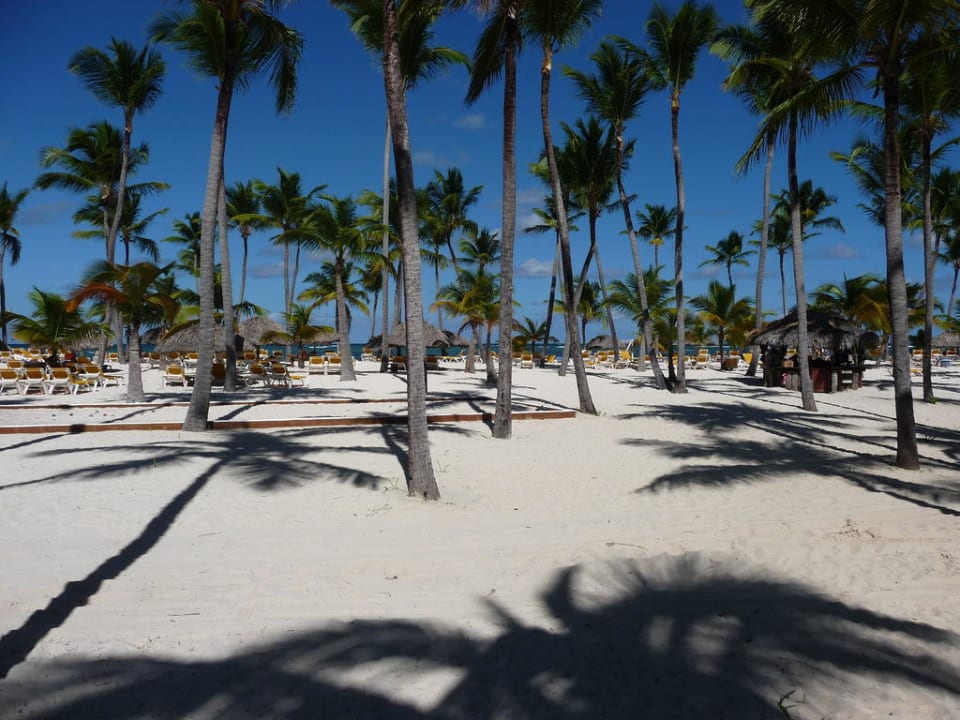 Hotel-Strand Catalonia Punta Cana - All Inclusive