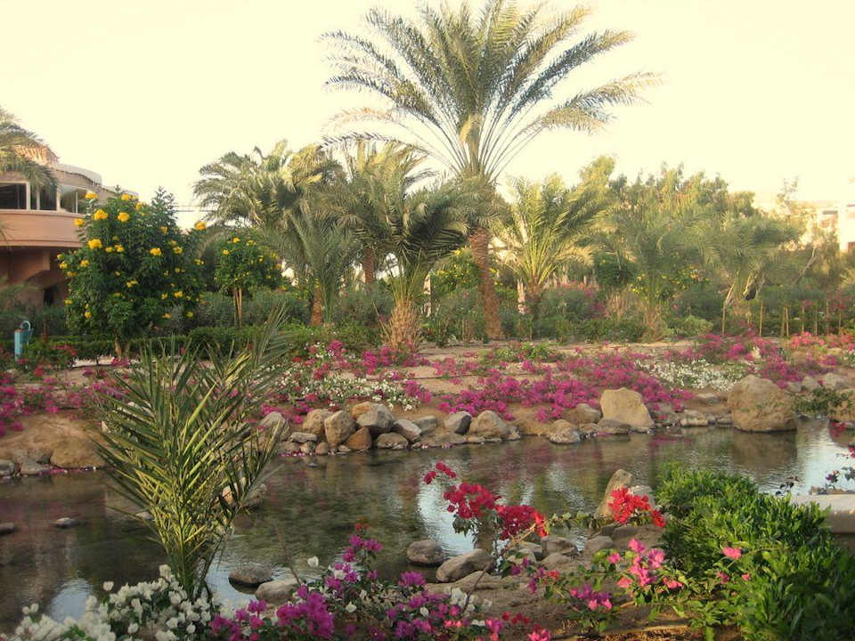 Grünanlage Mövenpick Resort & Spa El Gouna