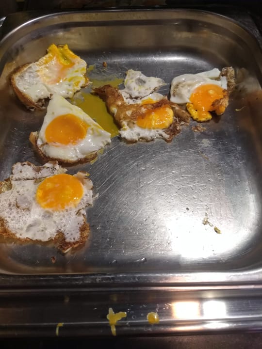 Gastro TUI MAGIC LIFE Beldibi +16