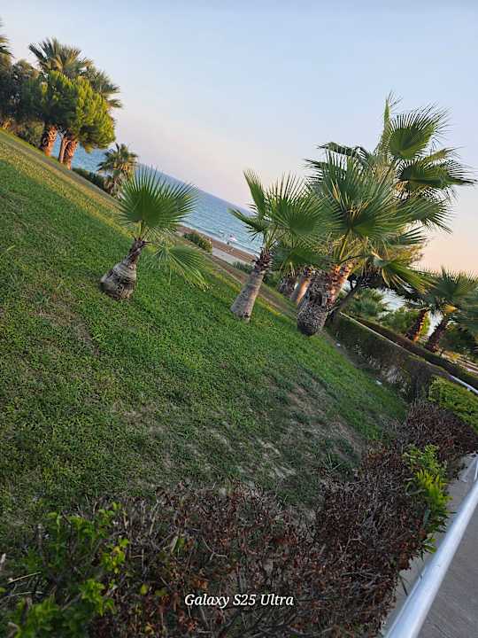 Strand allsun Numa Club Side