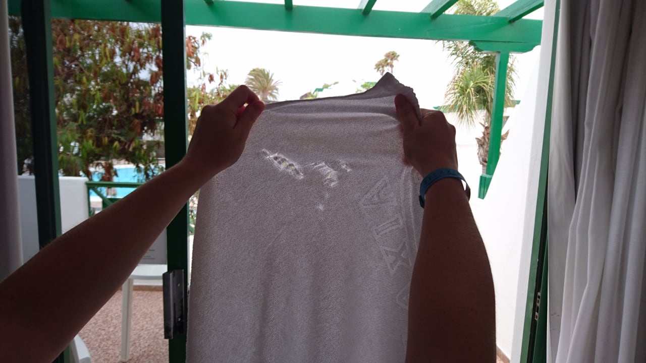 Zimmer Relaxia Olivina