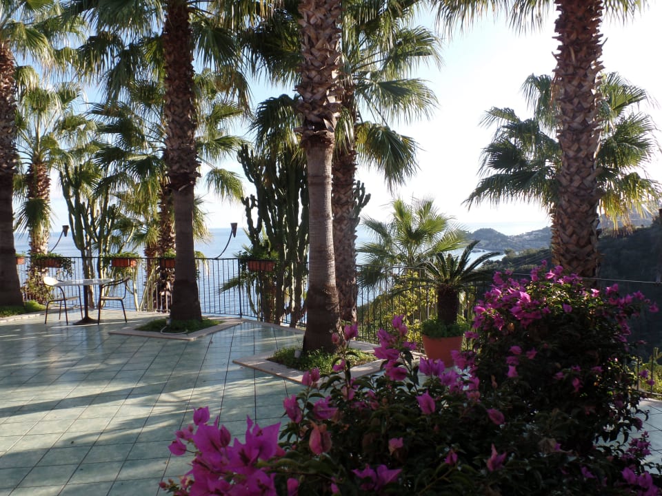 Sehr schöne Gartenanlage Hotel Olimpo