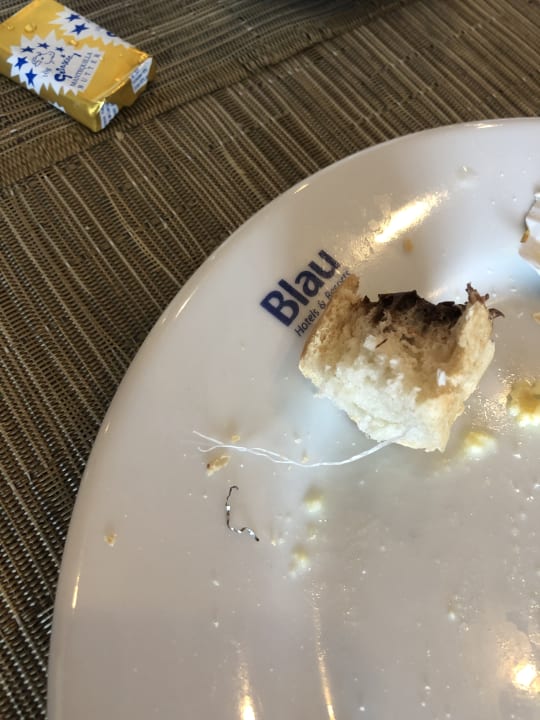 Gastro Blau varadero - Adults only