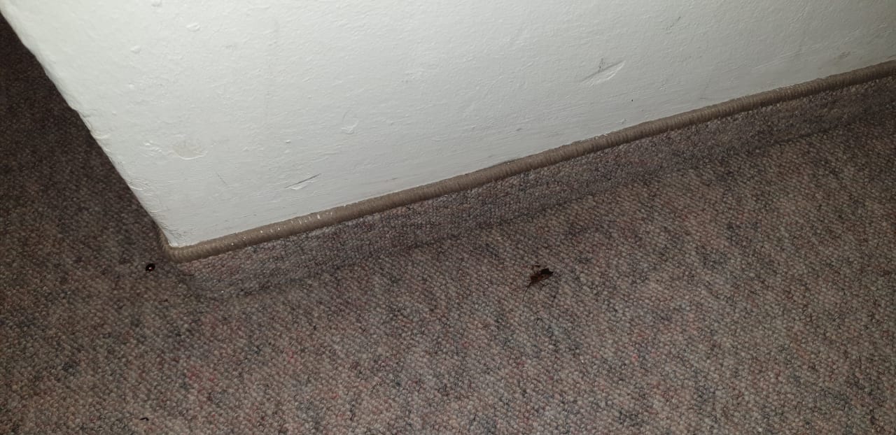 Zimmer Landgasthof Gotzenmühle