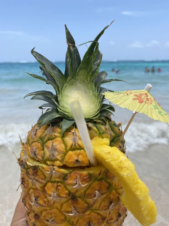 Gastro Hotel Riu Bambu