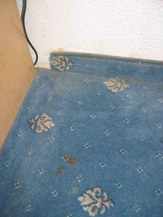 Teppichzustand in unserem Zimmer ohne Worte Hotel El Mouradi Djerba Menzel