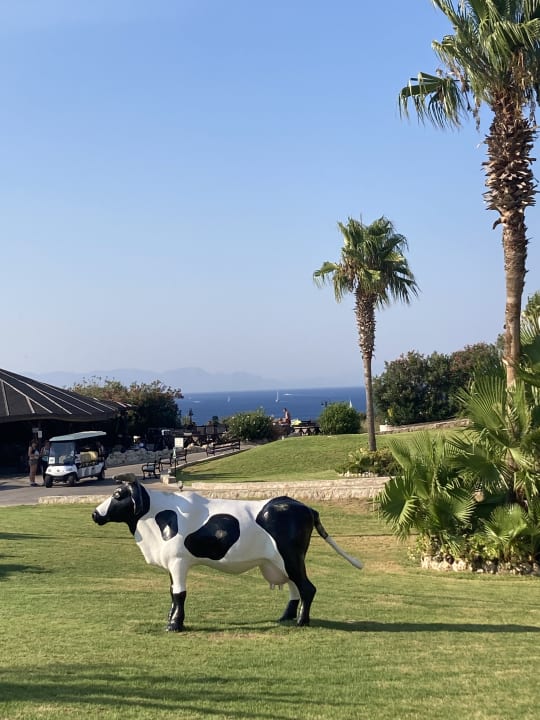 Gartenanlage Hotel Kalithea Horizon Royal