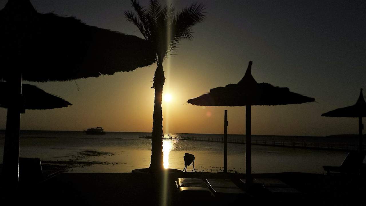 Strand Pickalbatros Palace Resort