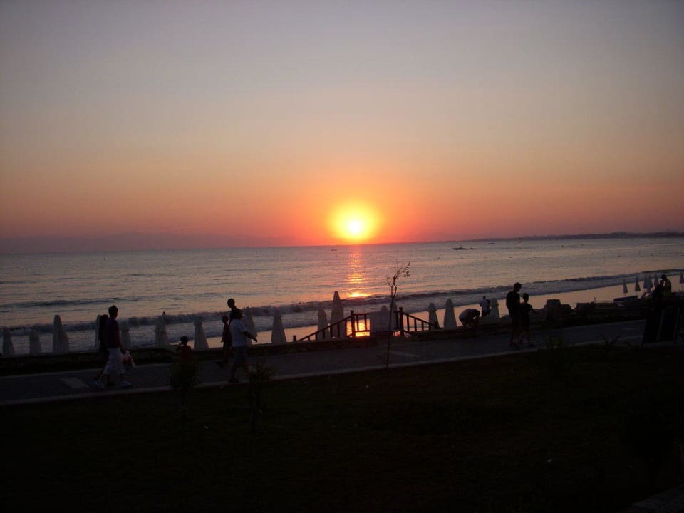 Sonnenuntergang Clover Magic Nova Beach