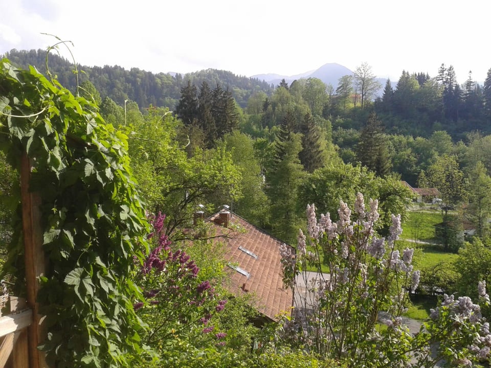 Aussicht von der Terrasse Gästehaus Sonnenbichl