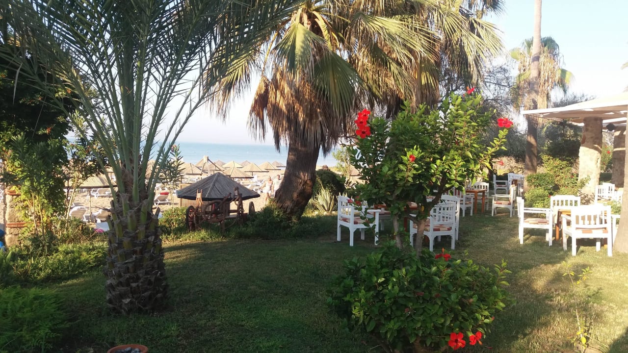 Strandbar Hotel Defne Garden