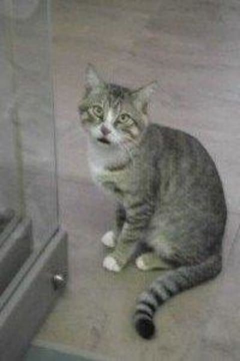  Restaurant Räuber Castello Boutique Resort & Spa