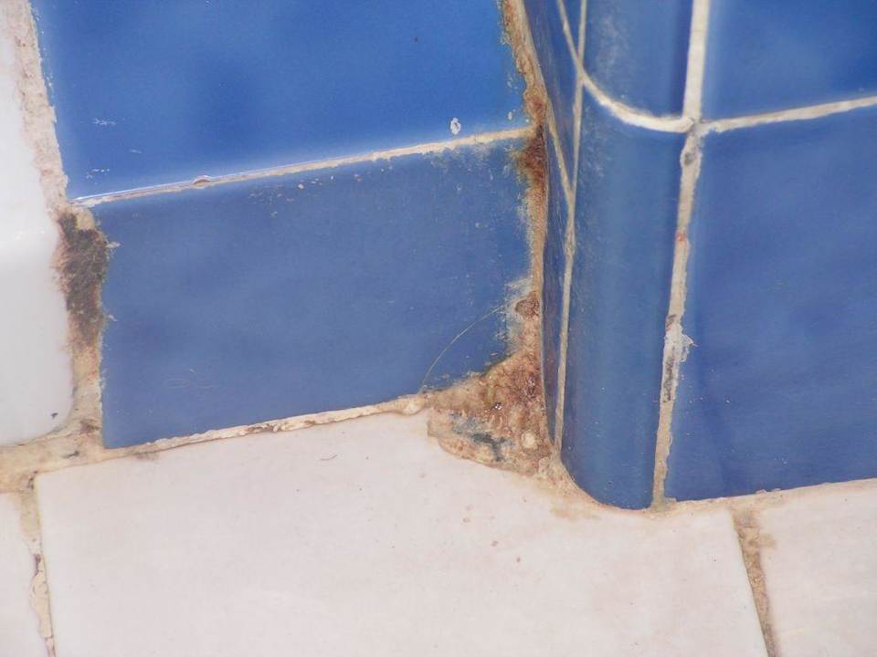 Schimmel im Bad Zimmer 2101 Hotel Nesrine