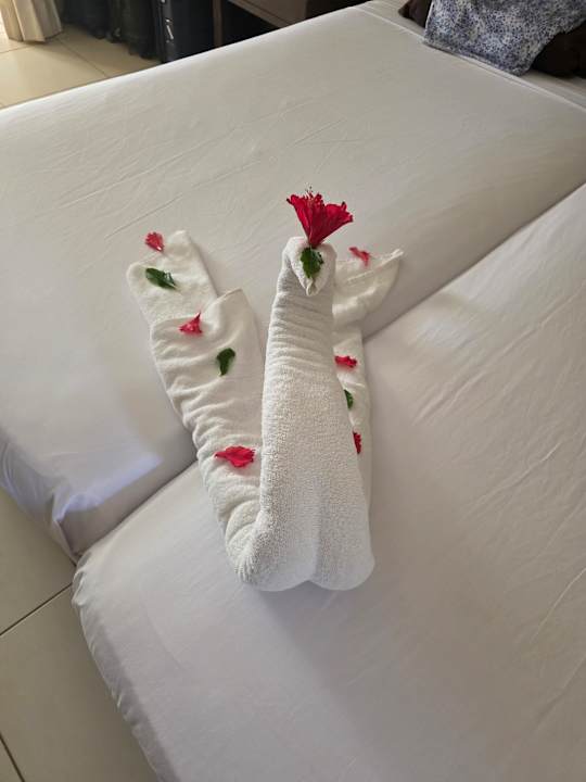 Zimmer Jaz Dar EL Madina