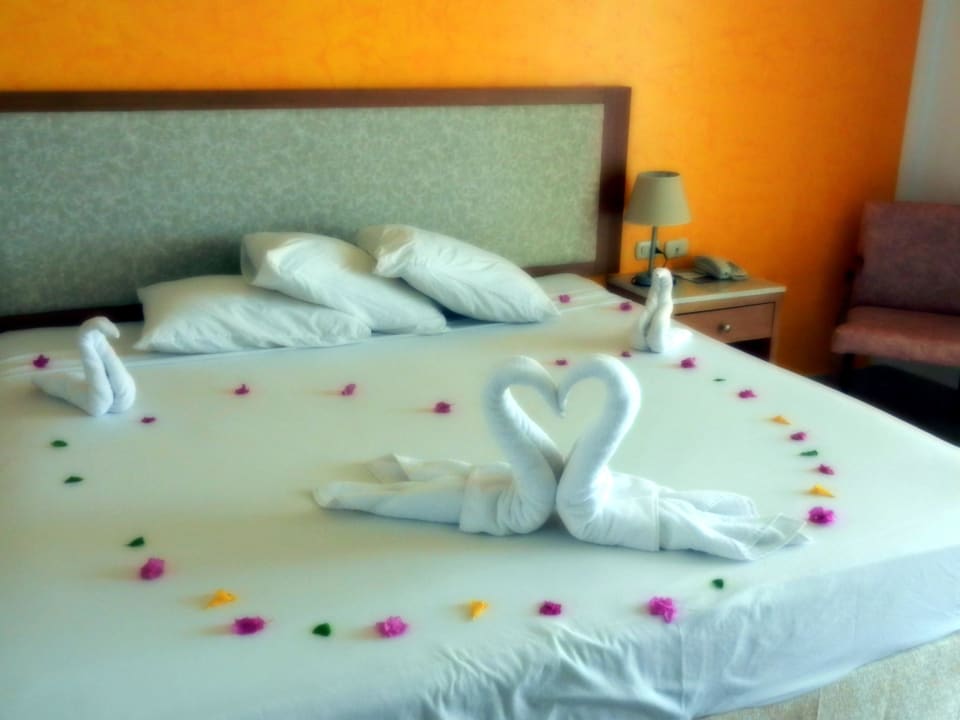 Zimmer Hotel Gorgonia Beach Resort