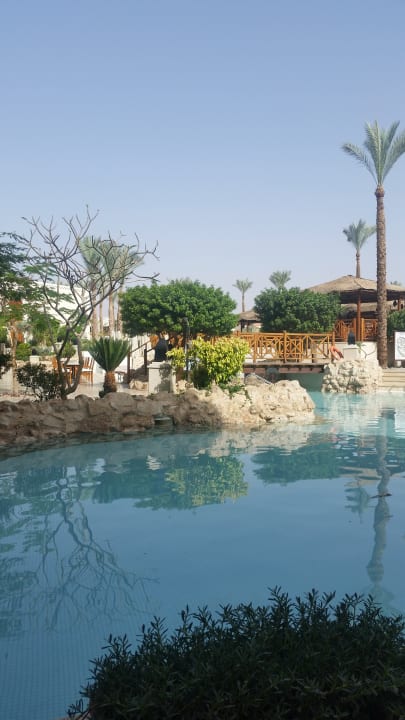 Pool Ghazala Gardens