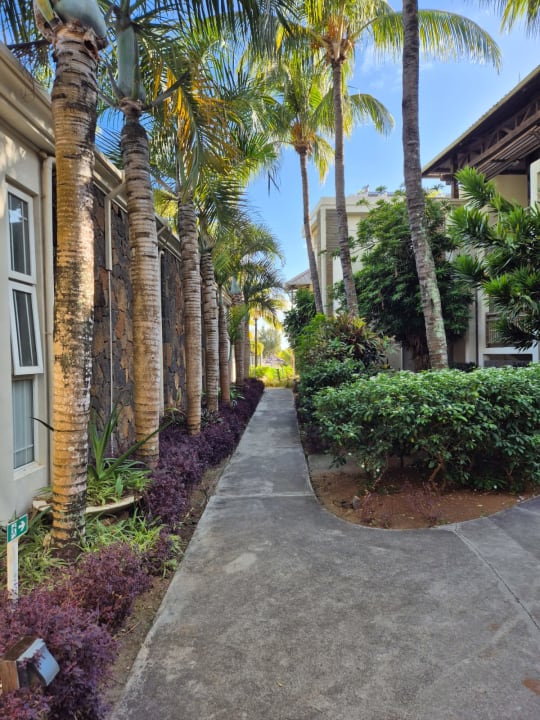 Gartenanlage Lagoon Attitude - Adults only