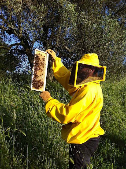 Apicoltura Casa Caponetti