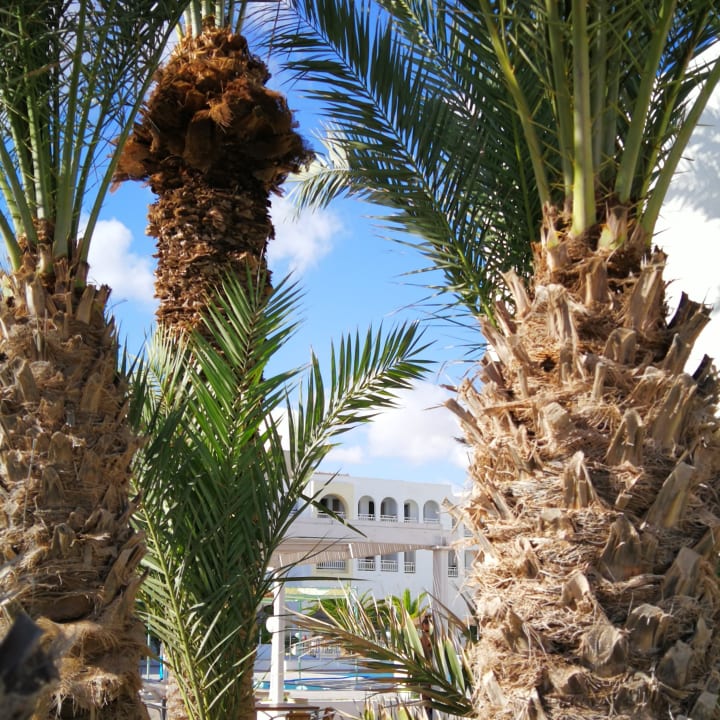 Außenansicht Calimera Yati Beach