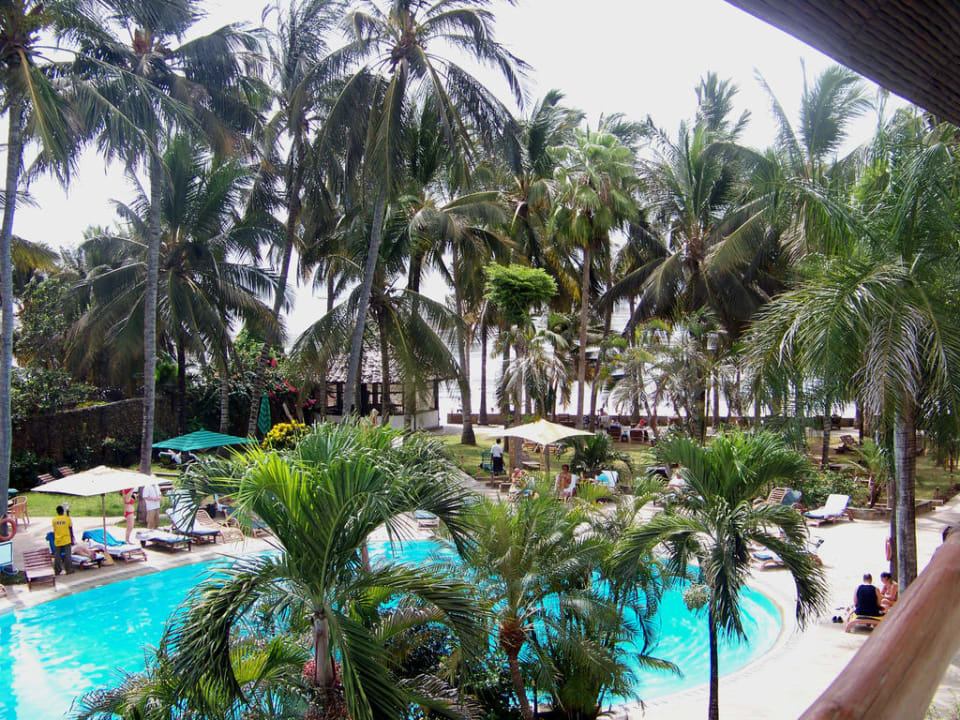 Pool und Liegewiese Hotel Traveller's Club