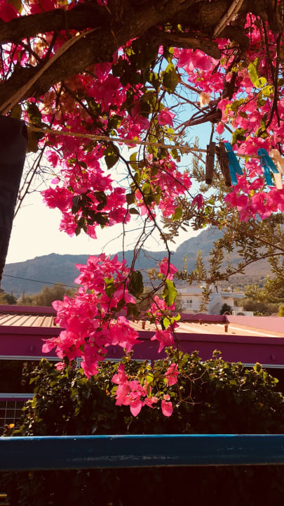 Zimmer Hotel Rosmarie