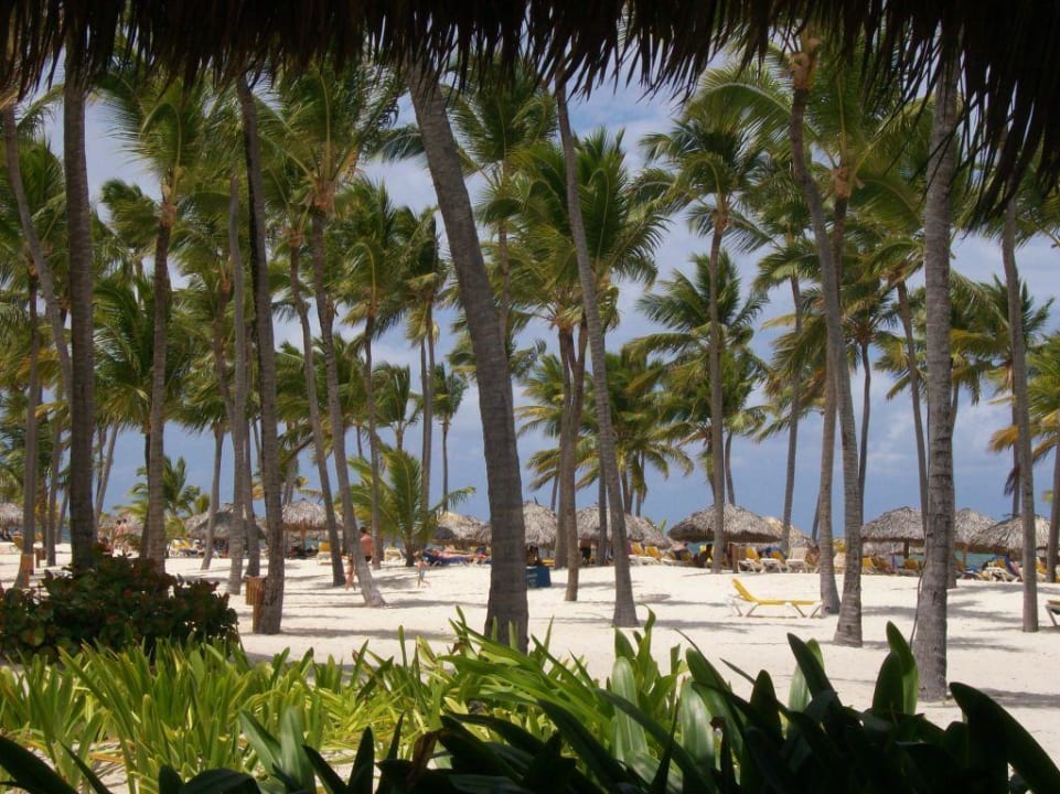 Ausblick vom Strandrestaurand Catalonia Punta Cana - All Inclusive