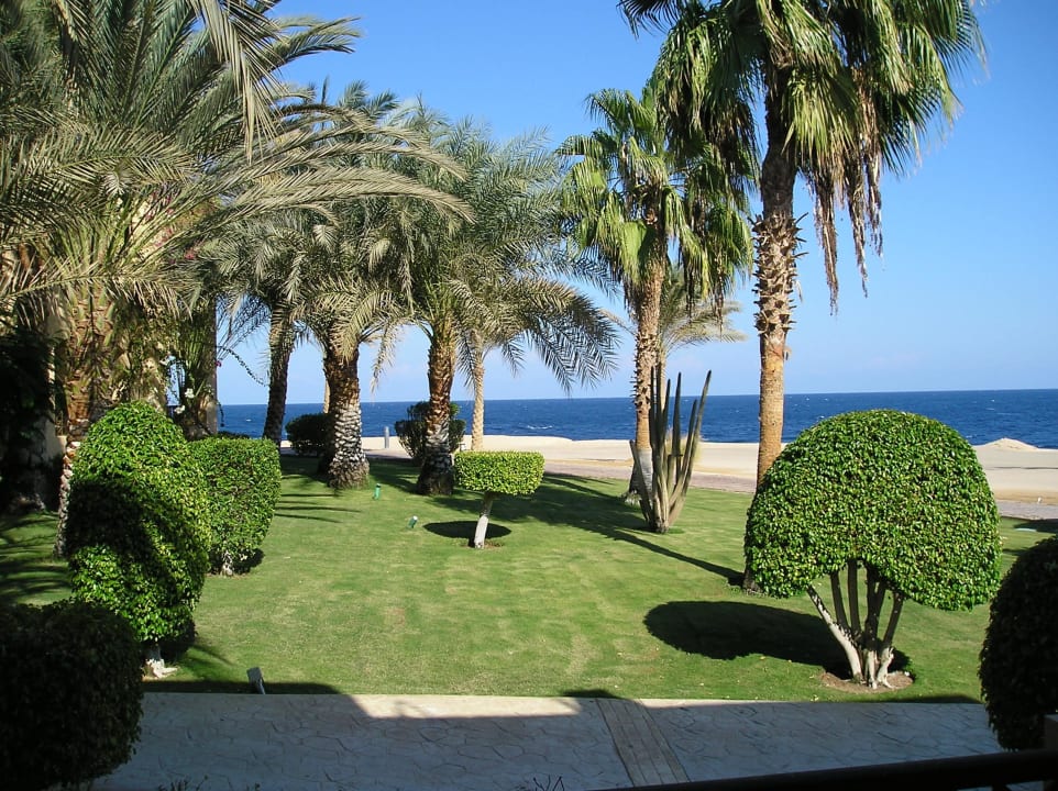 Aussicht vom Balkon Steigenberger Coraya Beach - Adults only