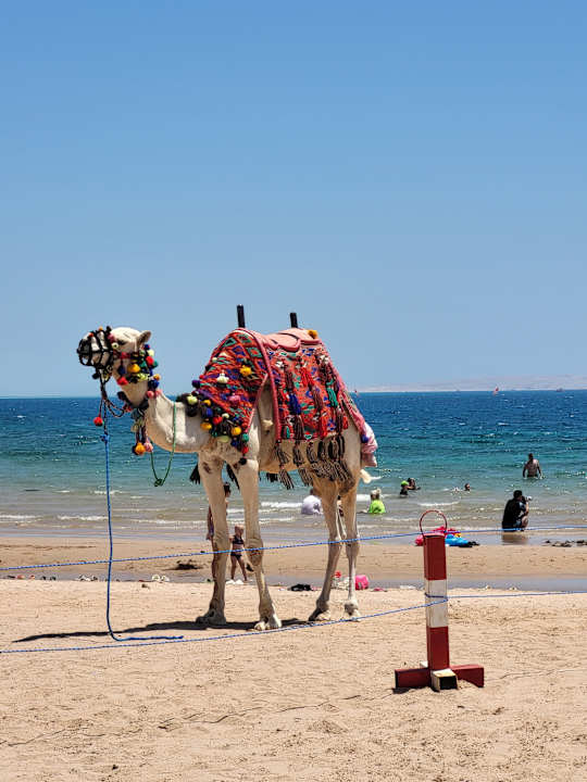 Strand Beach Albatros Resort