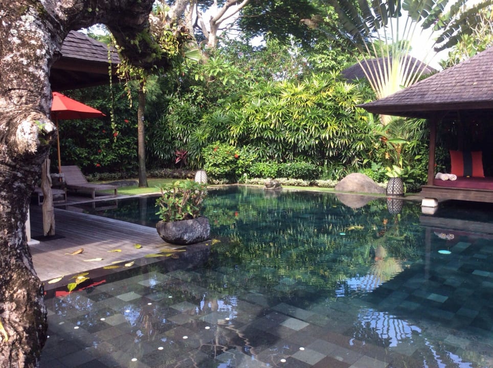 Unser Pool  Jamahal Private Resort & Spa