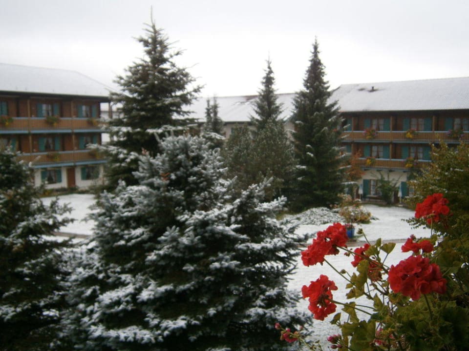 Blick vom Balkon Das Bergmayr - Chiemgauer Alpenhotel