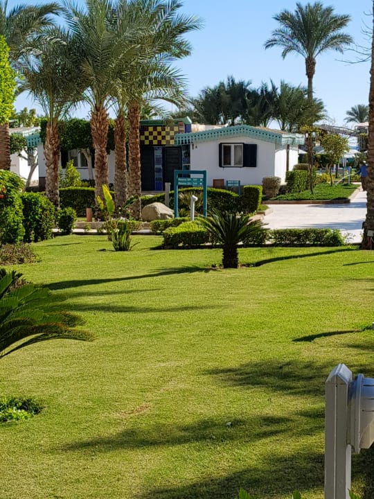 Bungalow  Ghazala Beach