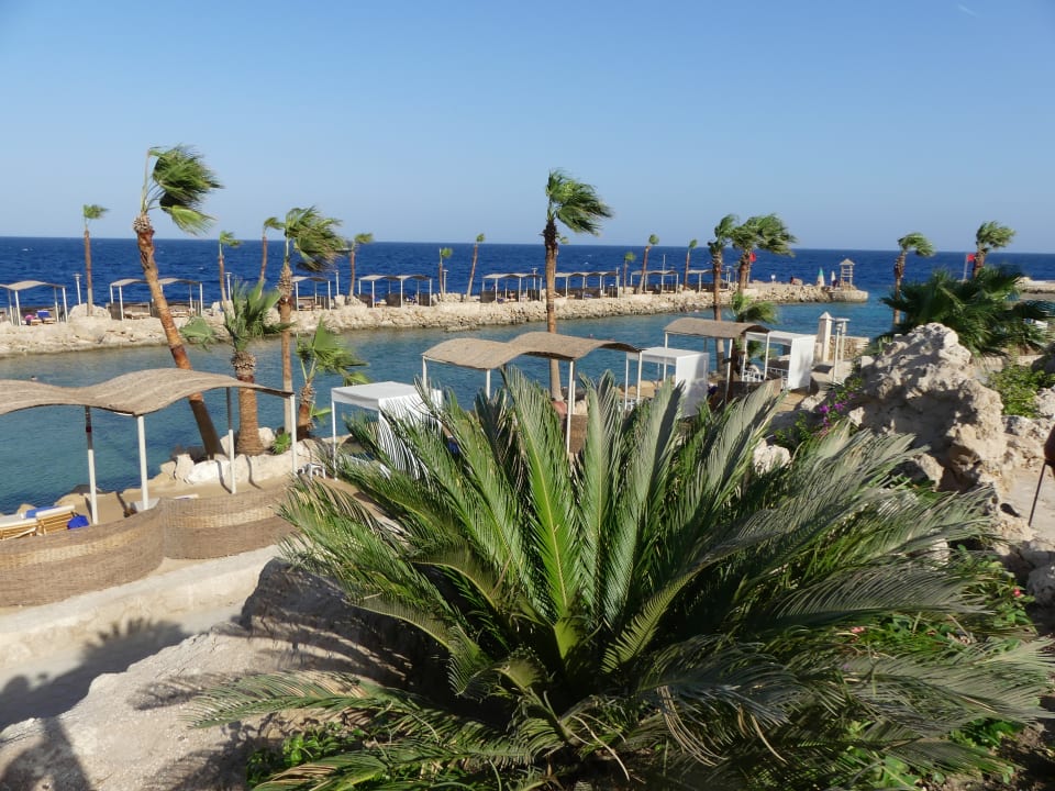 Strand Pickalbatros Citadel Resort