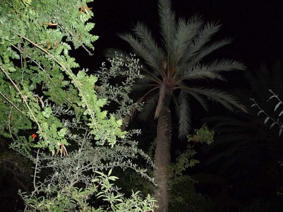 Kathago El Ksar El Ksar Resort & Thalasso