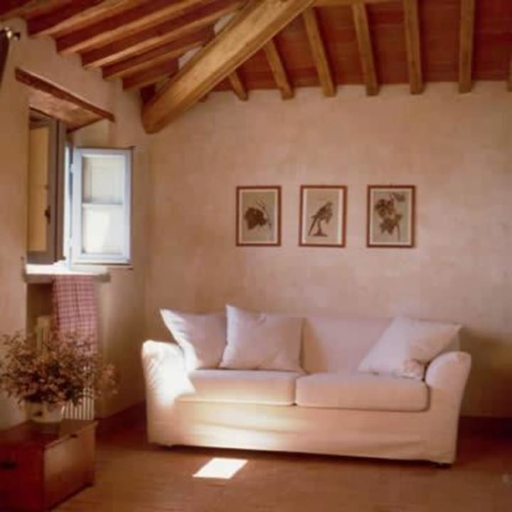 Vigneto interni Agriturismo Odina