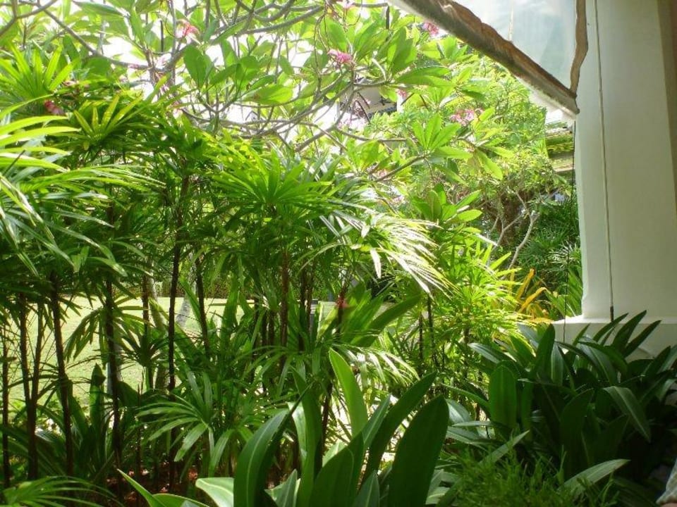 Frühstück Bandara Resort & Spa Samui