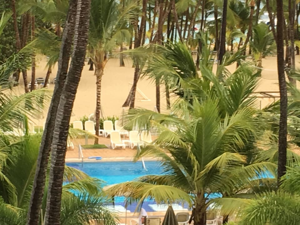 Ausblick Hotel Riu Palace Macao - Adults only