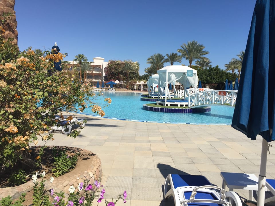 Außenansicht Desert Rose