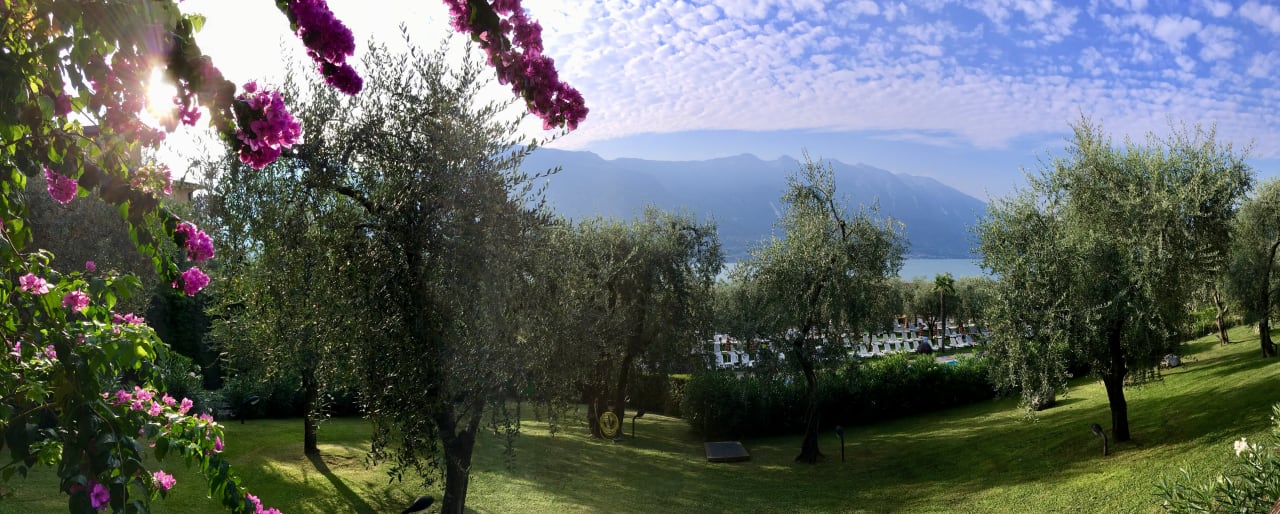 Gartenanlage Hotel Caravel