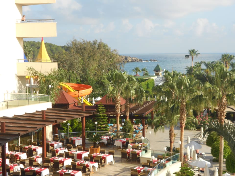 Meer, Restaurant und schöne Palmen Saphir Resort & Spa