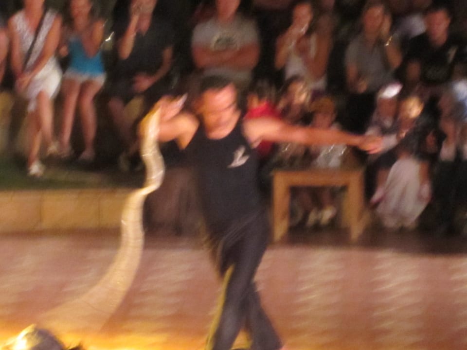 Cobrashow Pickalbatros Palace Resort
