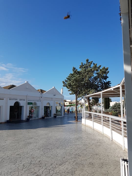 Gartenanlage Sandy Beach Resort