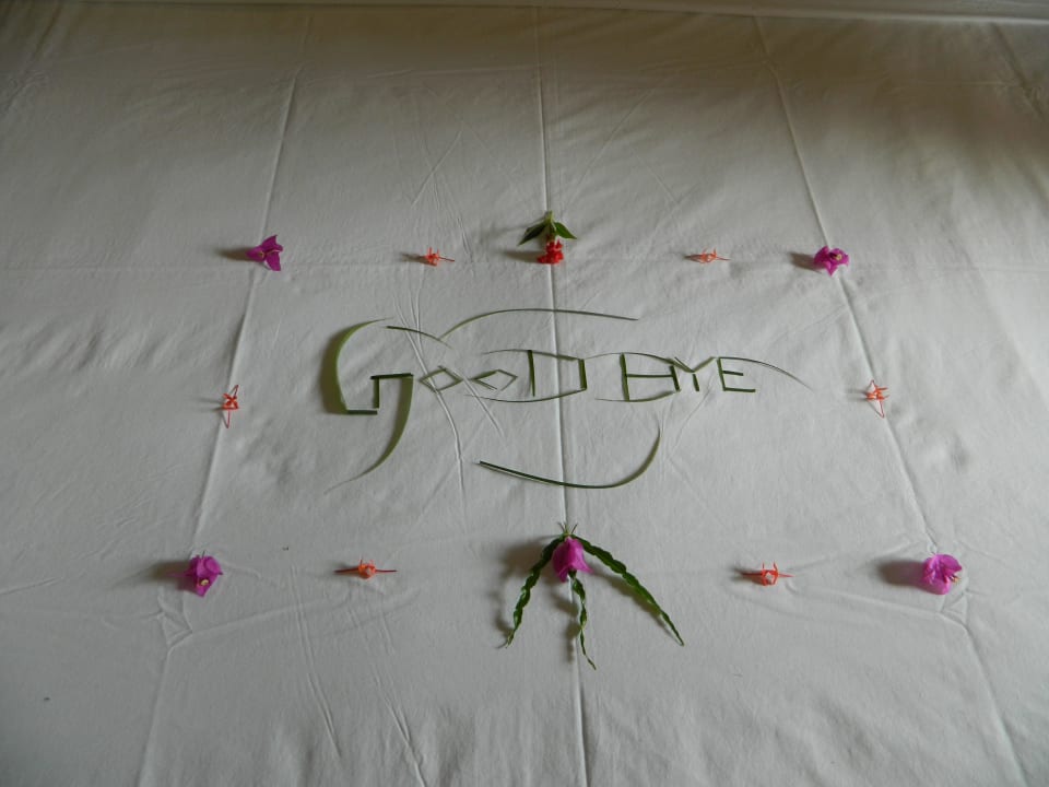 Das war Pale! Hotel Bentota Village