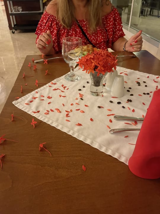 Gastro Ocean Blue & Sand